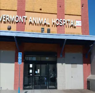 Vermont Animal Hospital veterinaria en los angeles california
