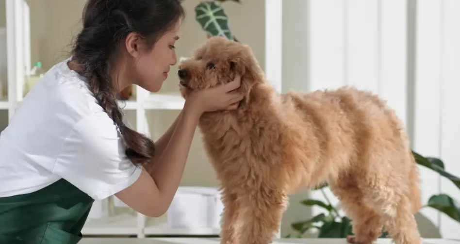 cuanto cobra un peluquero de perro para bañar y cortar el pelo