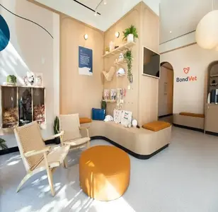 Bond Vet Upper West Side at 77th Street veterinaria en manhattan new york
