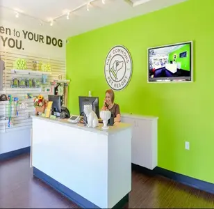 Paw Commons Pet Resort Hillcrest peluqueria canina en san diego california