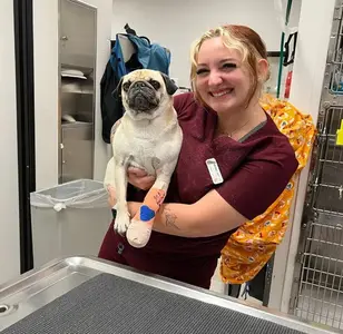 Urgent Care Pet Clinic veterinaria en san diego california