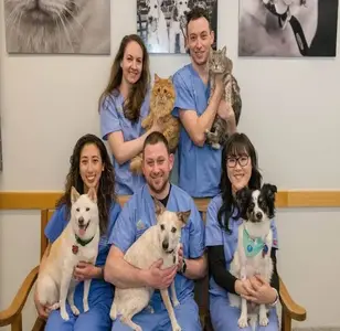 West Village Veterinary Hospital veterinaria en manhattan new york